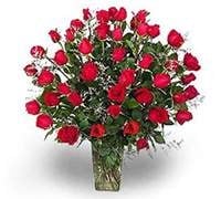 Vase 48 Red Roses