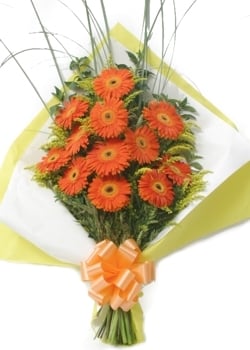 Gerberas Barrel