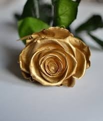 IMPORTED GOLD ROSES
