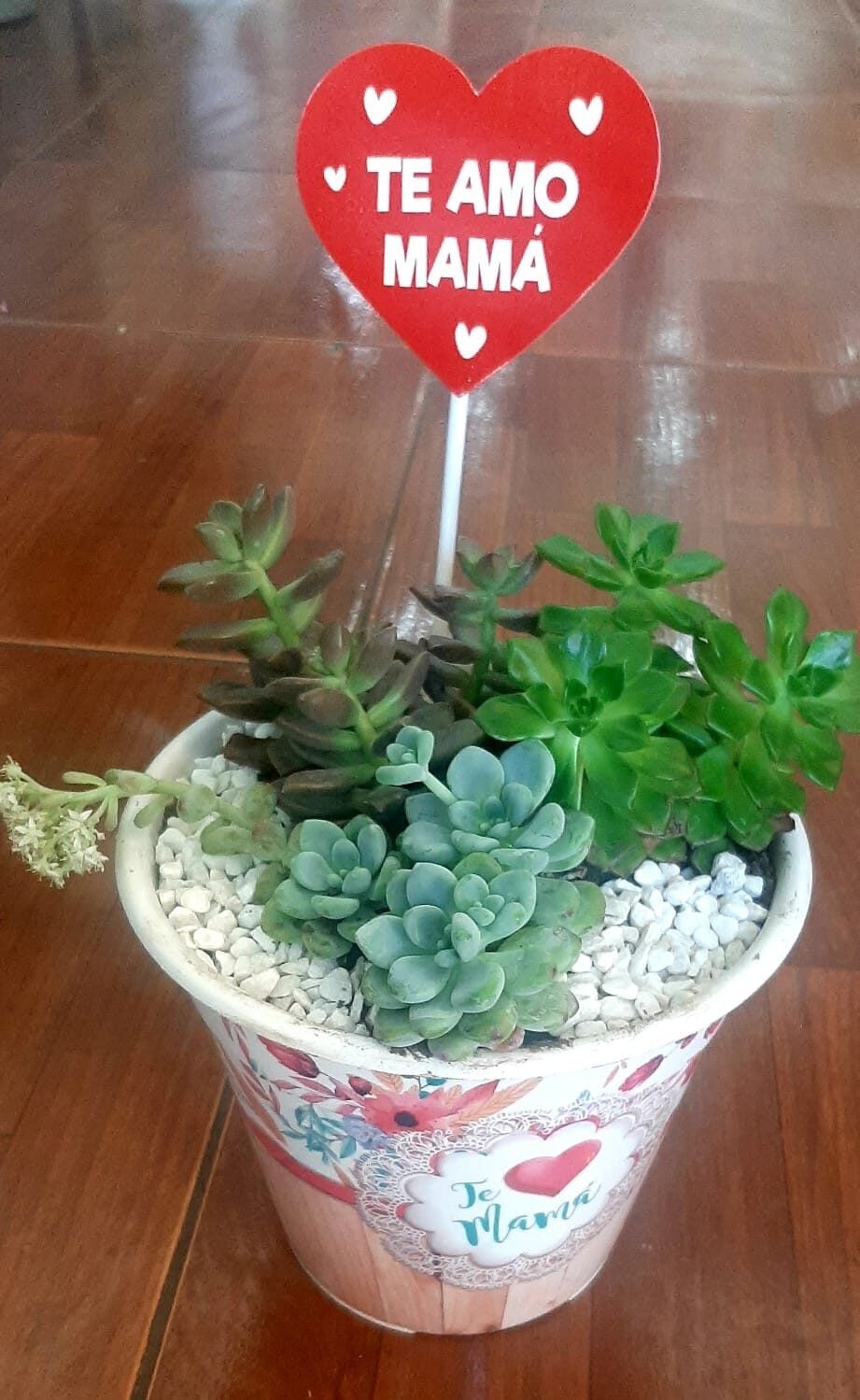 BOY SUCCULENT PLANTER