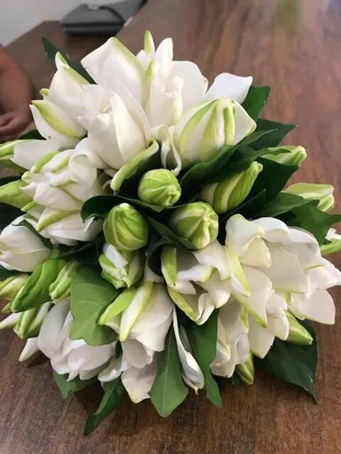 Bouquet of 12 JASMINE