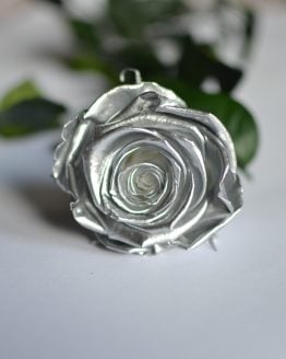 IMPORTED SILVER ROSES