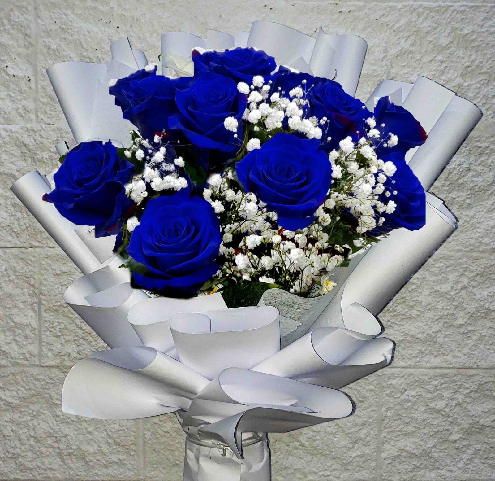 Blue roses