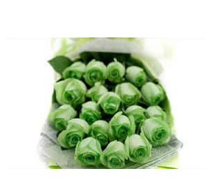 GREEN ROSES
