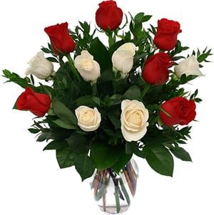 Vase with 12 Bicolor Roses