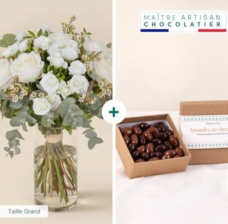 Cotton Green And Chocolate Almonds (Normal)