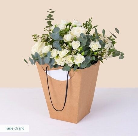 Cotton green and its gift bag (Normal)