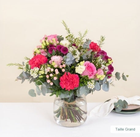 Rosa Bella (Normal)