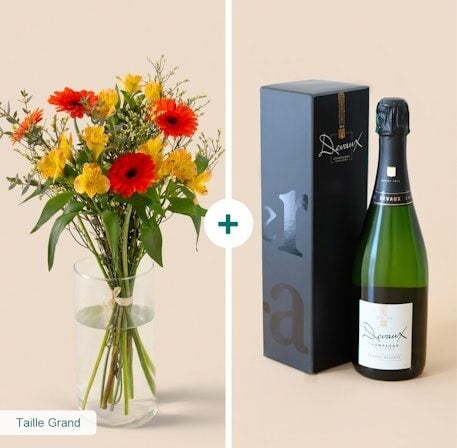Sunshine and its champagne (Normal)