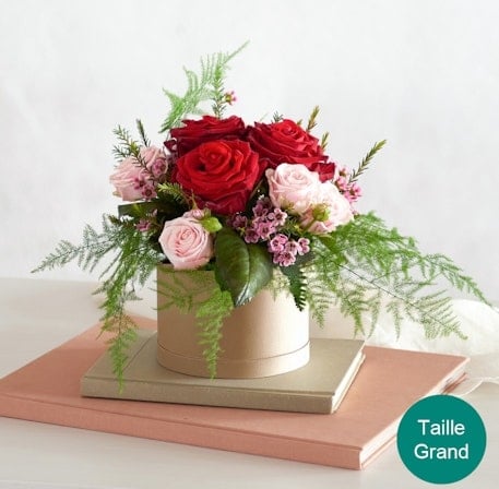Rose setting (Normal)
