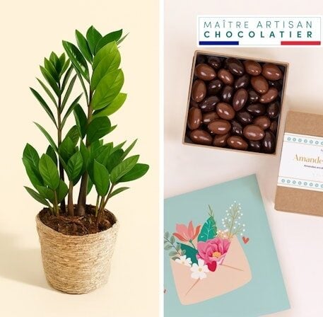 Plant gift set