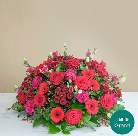 Beautiful red tribute (Normal)