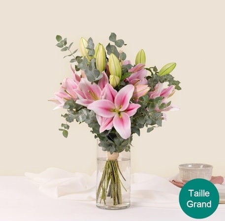 Our magnificent lilies (Normal)