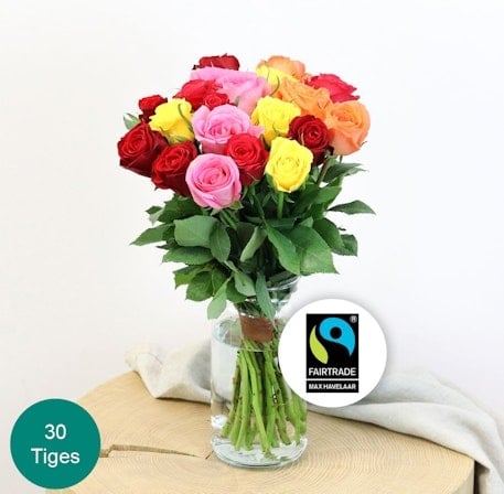 A bouquet of multicolored Max Havelaar roses (20 Roses)