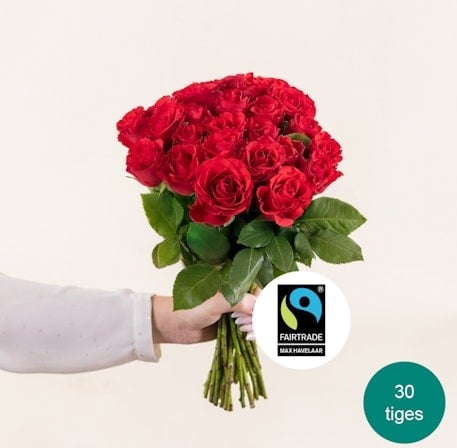 A bouquet of red roses from Max Havelaar (25 Stems)