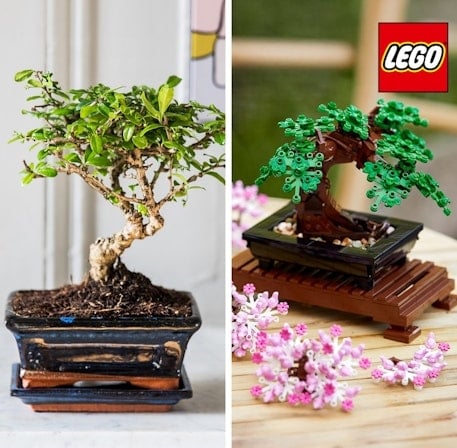 Bonsai and LEGO® Set
