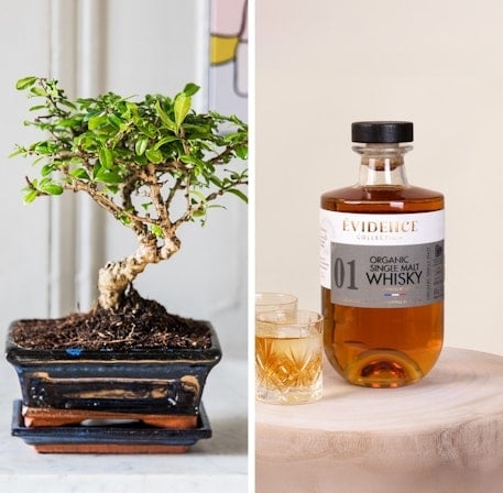 Bonsai Gift Set and its Whisky