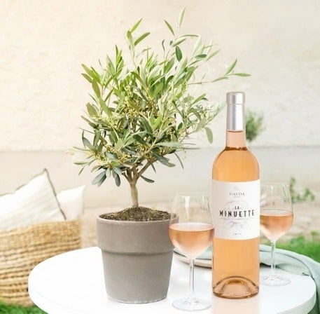 Olivier and his rose wine "La Minuette"