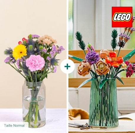 LEGO® Bucolic Set (Normal)