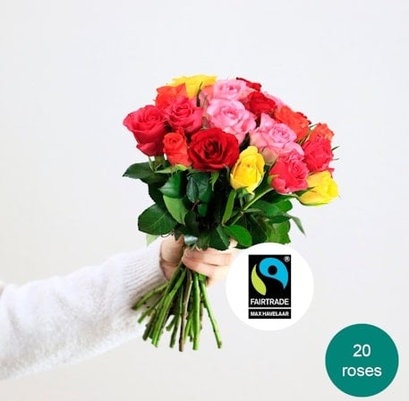 A bunch of 20 multicolored roses