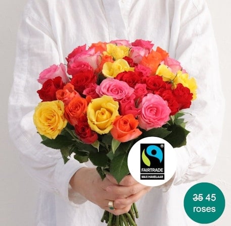 A bouquet of multicolored roses (25 Roses + 10 Free)