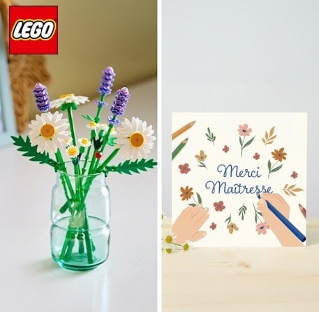 LEGO® Thank You Teacher Set
