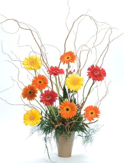 The Gerberas Birthday Blast (Small)