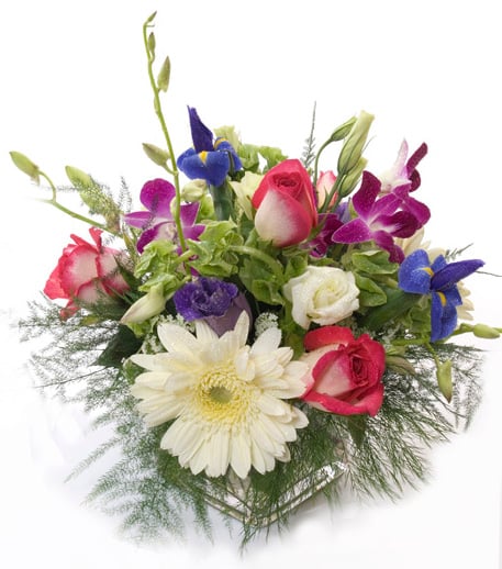 Jubilant Tidings (Small)