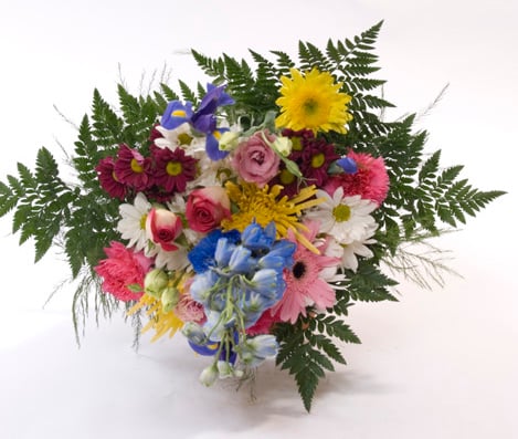 Breathtaking Array (Small)