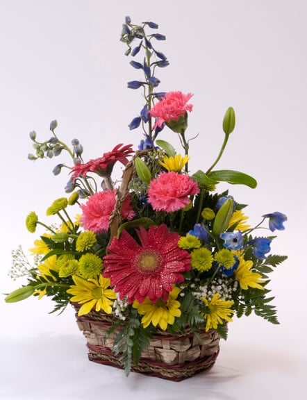 A Colorful Birthday (Small)