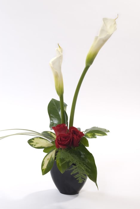 Romance in Bloom (As Shown)