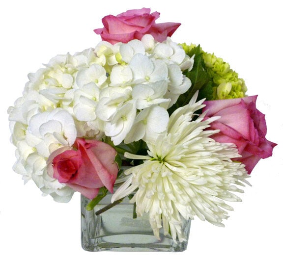 The Purity Arrangement (As Shown)