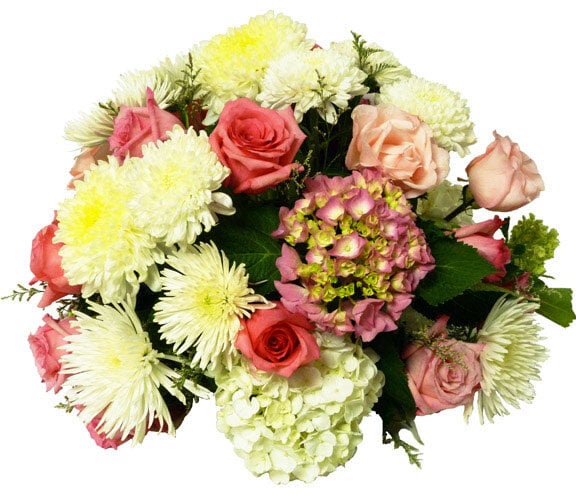 The Graceful Arrangement (standard)