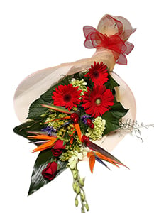 Paradise Breeze (As Shown)