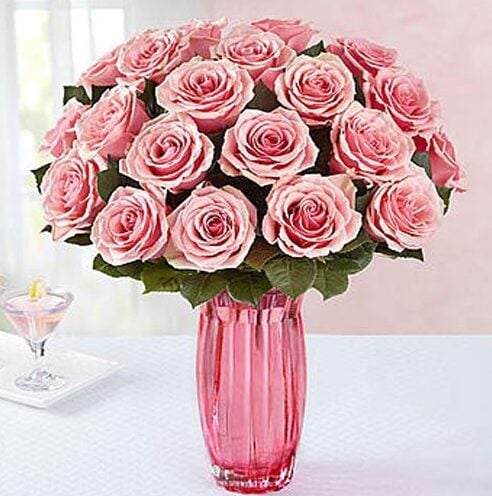 Pink Roses Bloom