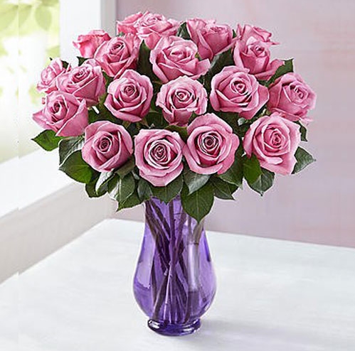 Purple Roses Bloom