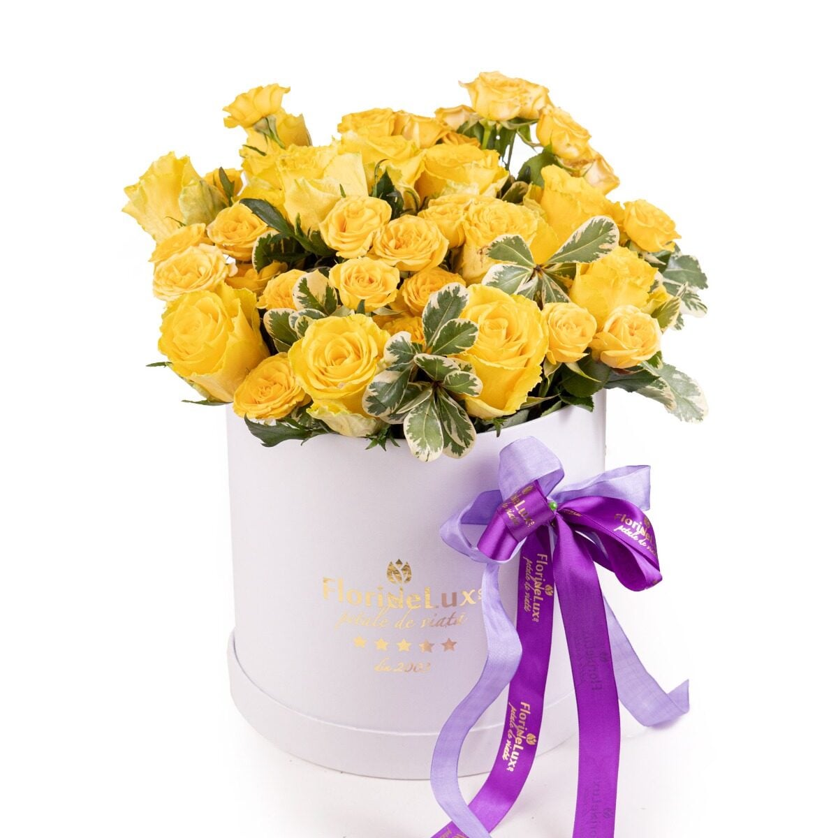 Box of sunshine roses (Standard)