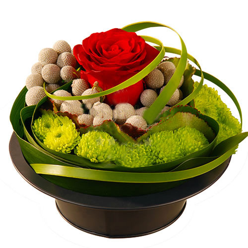 Rose And Santini Arrangement - Business Gifting In Romania (Standard)