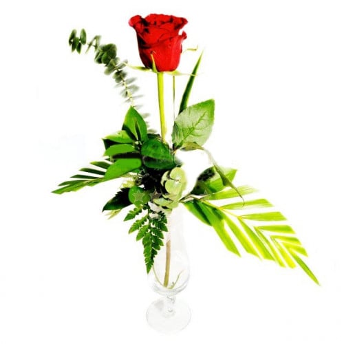 Red Rose In Vase - Romantic Gifts To Romania (Standard)