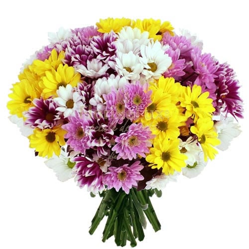 Flowers To Romania - Purple, White, Yellow Daisies (Standard)