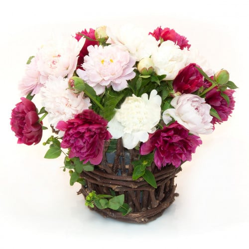 Peonies In Romania