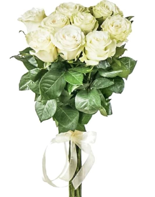 9 White Roses