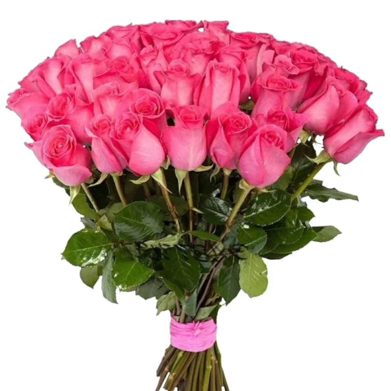 51 Pink Roses