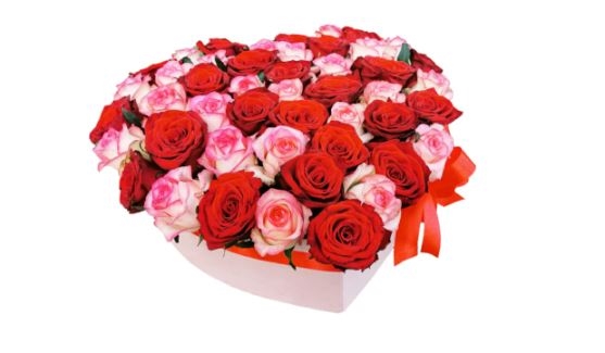 My Heart Is Yours