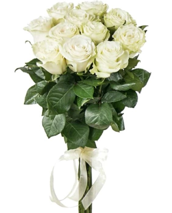 11 Luxury White Roses