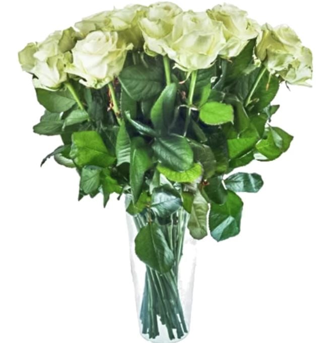 11 White Roses