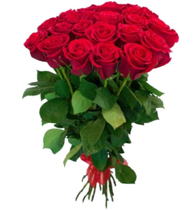 19 Red Roses