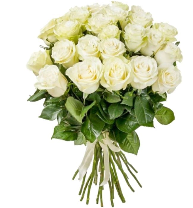 19 White Roses