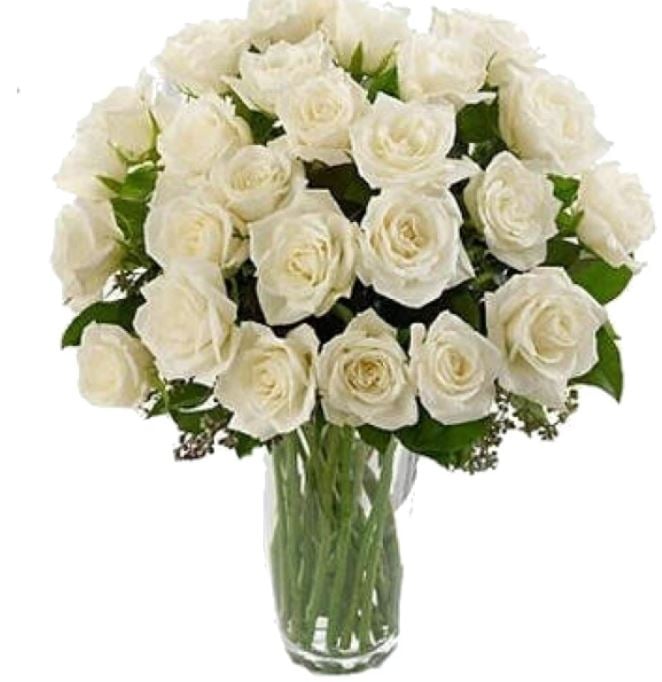 25 White Roses