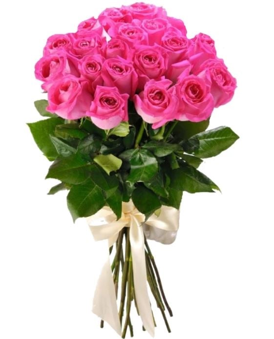 15 Luxury Pink Roses